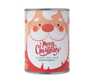 microgiardini - MINIATURA SITO babbo