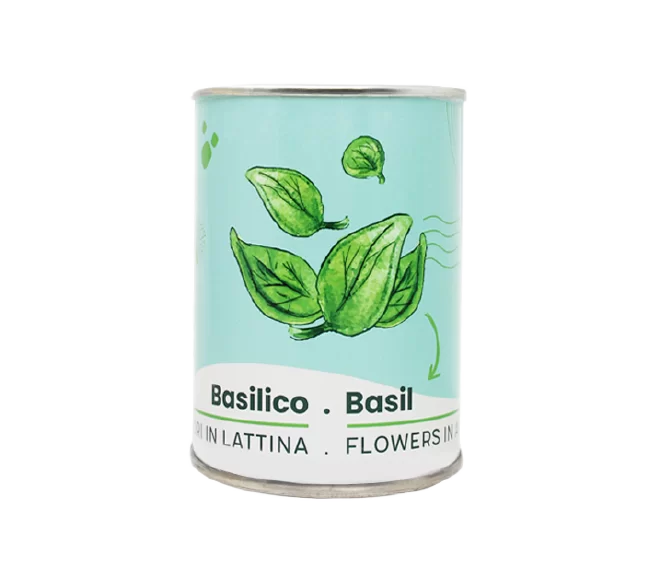 miniatura sito microgiardini basilico-01