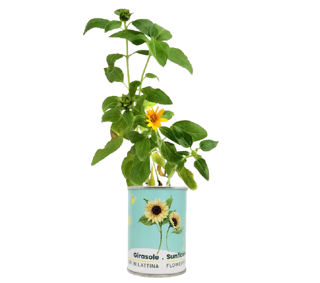 miniatura sito - microgiardini gir-01