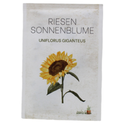 Buste in semi girasole evidenza