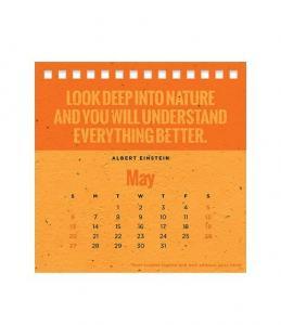 Calendario in Carta Piantabile con Colore Carta Arancione Mese di Maggio