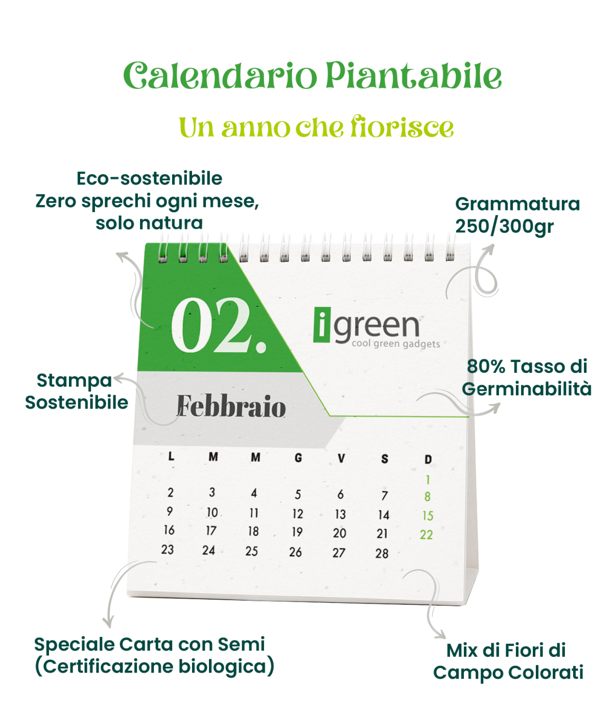 Calendario Piantabile, Calendario in Carta Piantabile, Calendario Carta con Semi