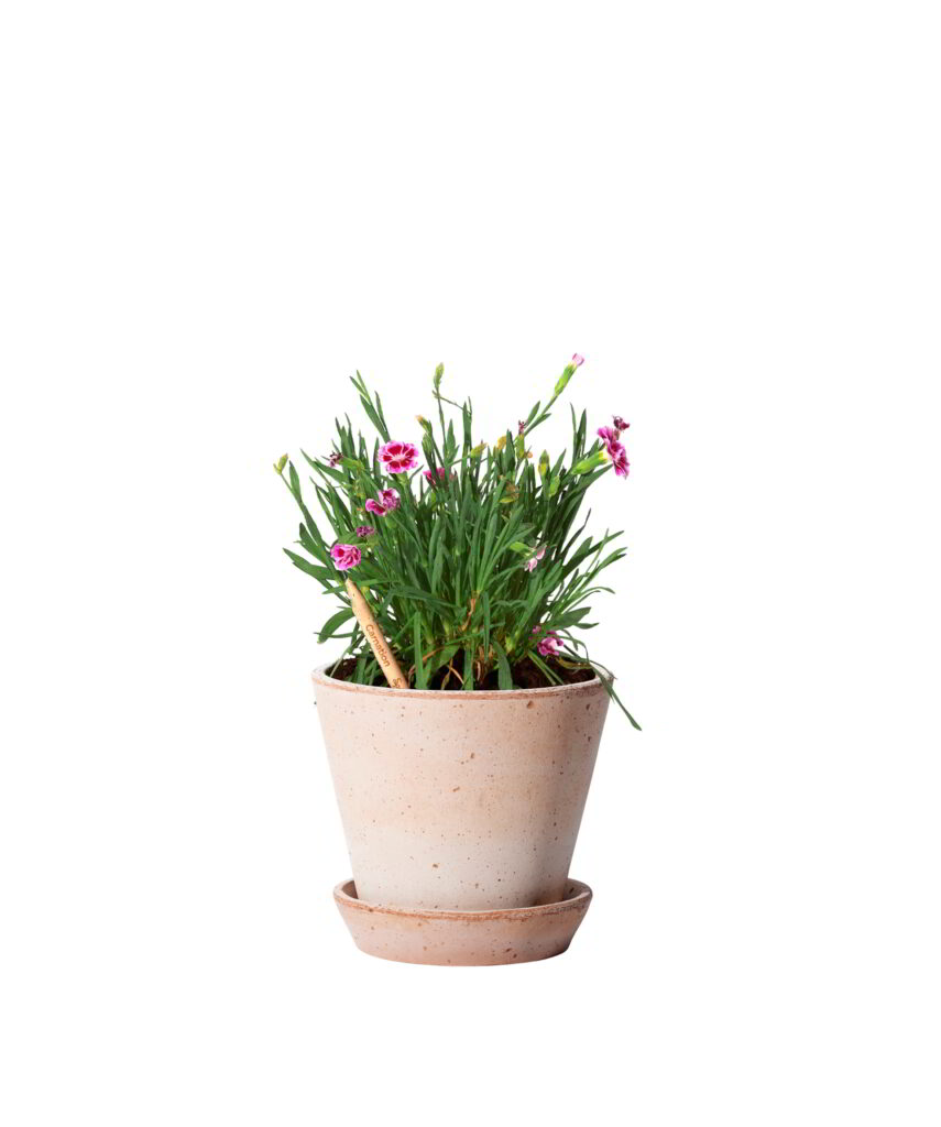 Matita Garofano Fiorita