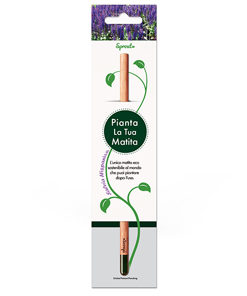 Matite-Salvia-Hispanica 487x583