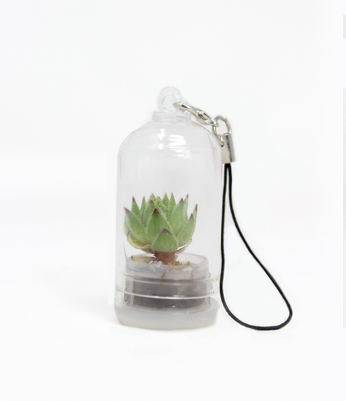 Portachiavi Mini Cactus con Micro Nature Floor