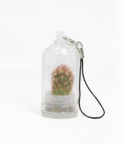 Portachiavi Mini Cactus con Micro Nature Hedge Rosa