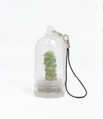 Portachiavi Mini Cactus con Micro Nature Spike
