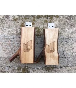 USB in forma di Rametto d'Albero con Legno Naturale per CO2