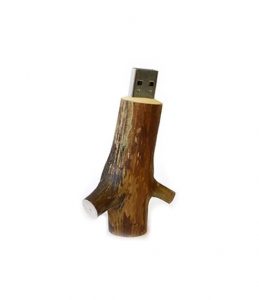 USB in forma di Rametto d'Albero con Legno Naturale Retro