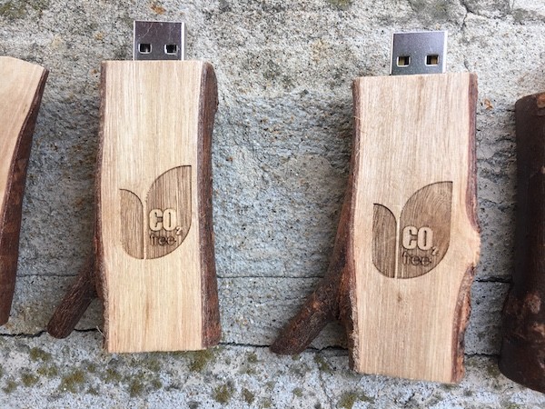 Usb | Usb Rametto | Progetto CO2