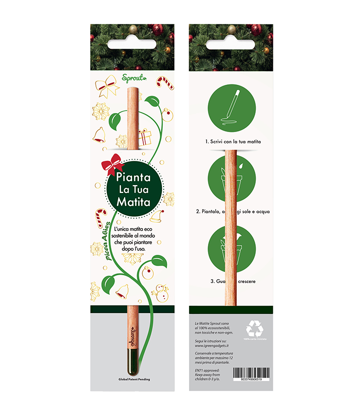 Matite-Picea-abies 487x583