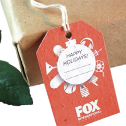 Etichette in Carta Piantabile Holidays per Progetto Fox