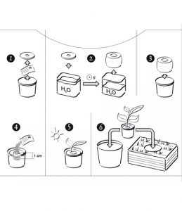 Istruzioni Green Espresso Vasetto Compostabile in Lolla di riso