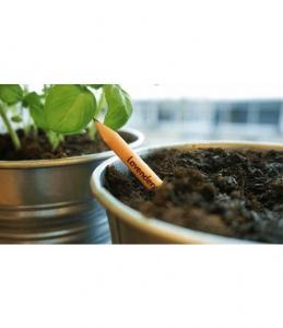 Matita Sprout Piantabile Lavanda in vaso