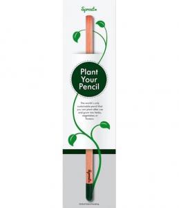 Matita Sprout Piantabile con Packaging fronte