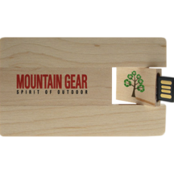 USB Card in Legno e Bamboo