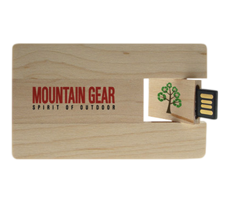 USB Card in Legno e Bamboo