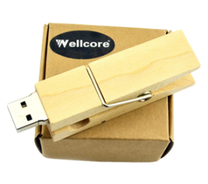 USB Clip in Legno Naturale