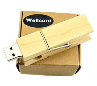 USB Clip in Legno Naturale