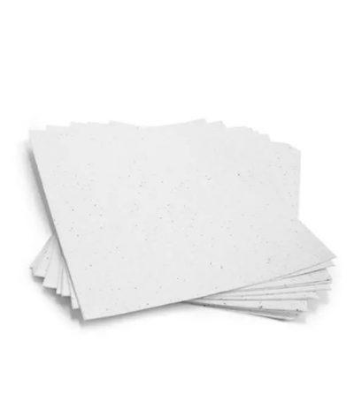 Fogli in Carta Piantabile Colore Bianco