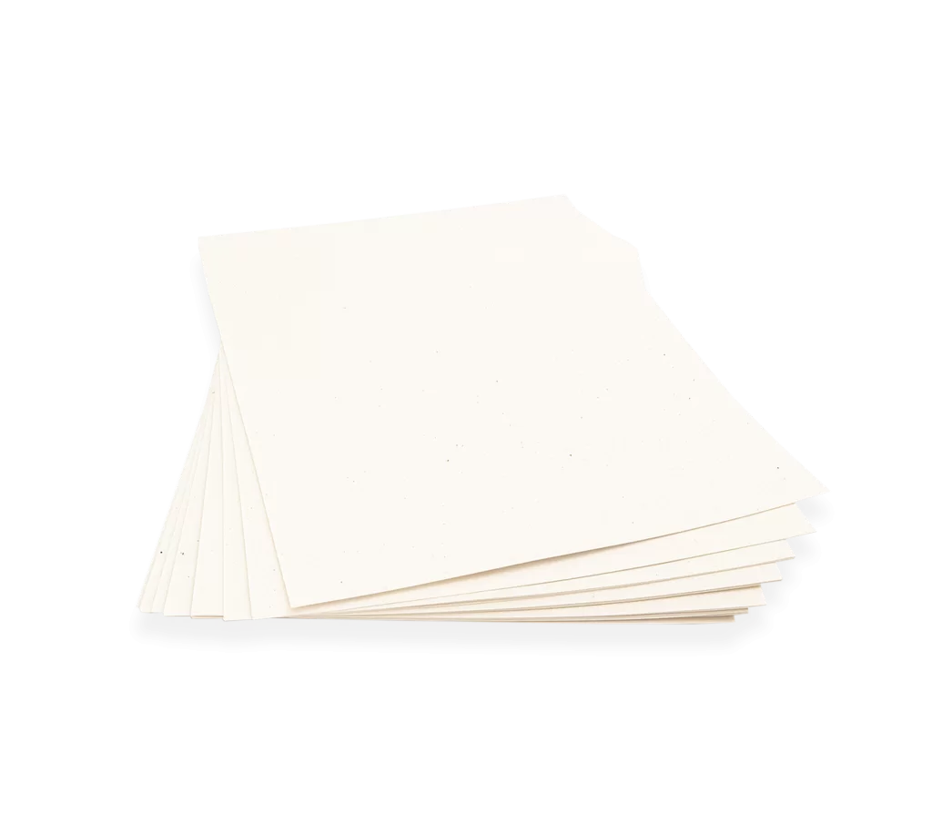 Fogli piantabili img evidenza