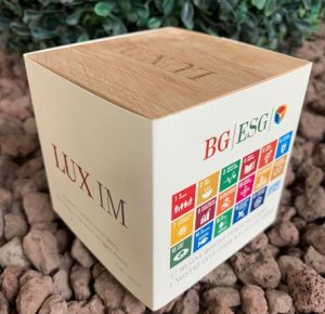 EcoCube | Fiori & Piante in Cubi di Legno | Progetto LUX IM