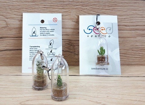 Micro Nature | Portachiavi Mini Cactus | Progetto Seed Venture
