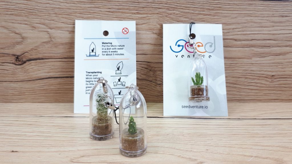 Micro Nature | Mini Cactus Portachiavi | Progetto Seed Venture