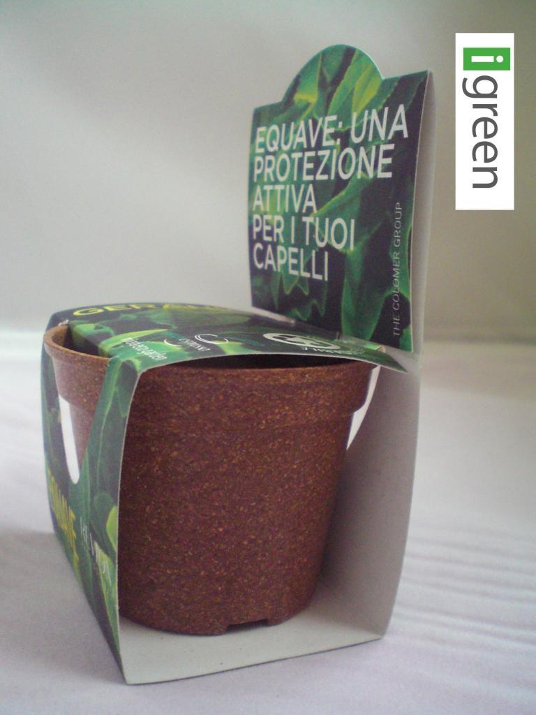 Green Espresso | Progetto Equave