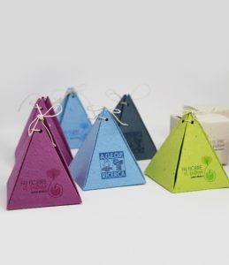 Box in Carta Piantabile a forma di Piramide per Progetto Ageop Immagine 2