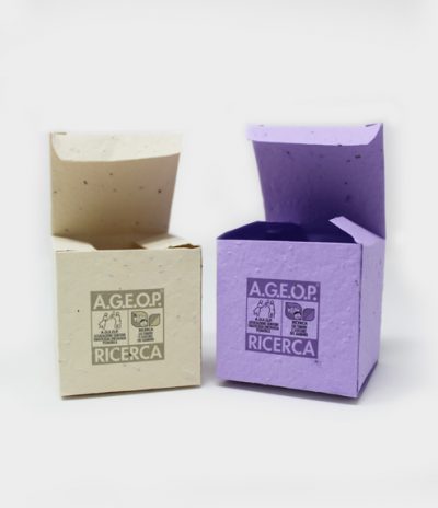 Box in Carta Piantabile aperta a forma Quadrata per Progetto Ageop