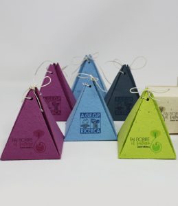 Box in Carta Piantabile a forma di Piramide per Progetto Ageop Immagine 3