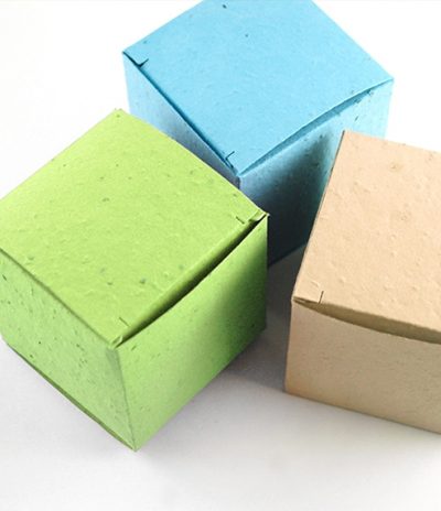 Box in Carta Piantabile Forma Quadrata con Colori Azzurro Verde e Beige