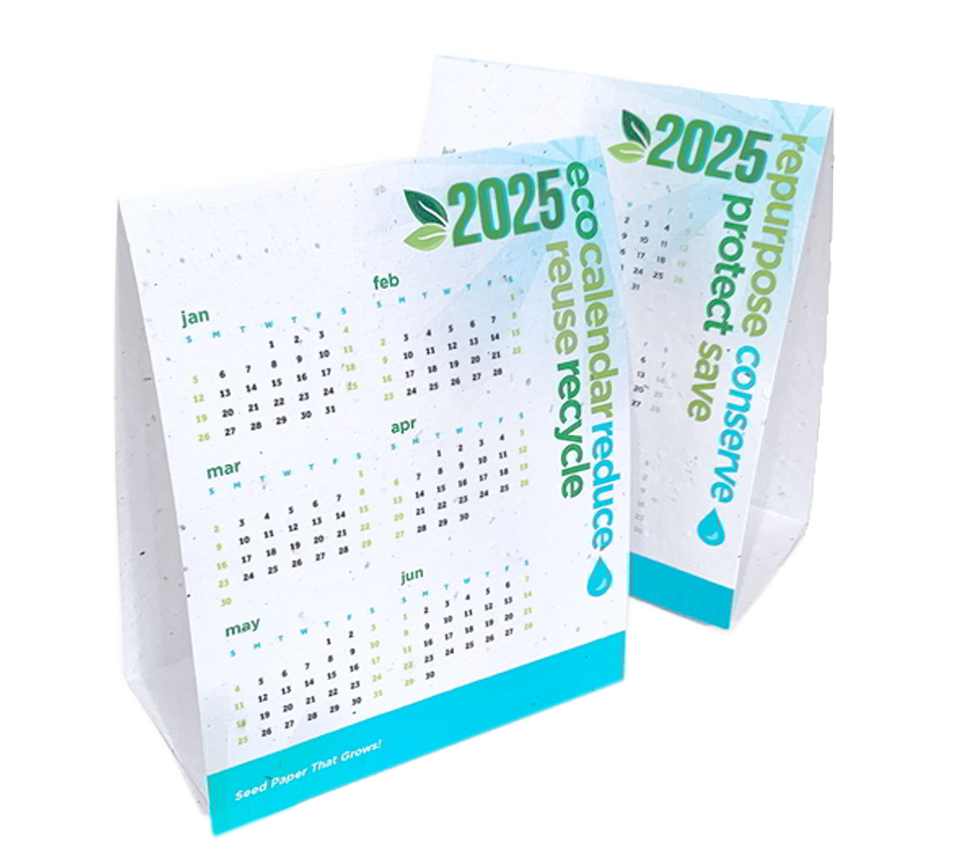 Calendario piantabile 2k25