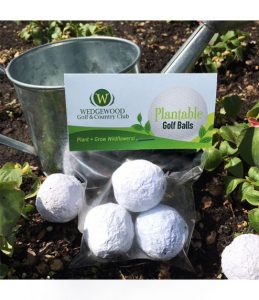 3 Seed Bombs Palline Golf Piantabili con Mix di Fiori di Campo Colorati e Confezione Trasparente