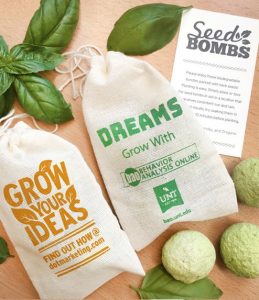 Seed Bombs Bombe di Semi Terra Madre Colorate con Confezione in Tessuto Personalizzata Colore Verde e Senape