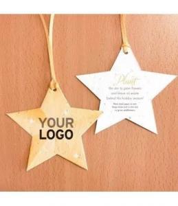 Stella di Natale d'oro Natalizia in Carta Piantabile con esempio di personalizzazione