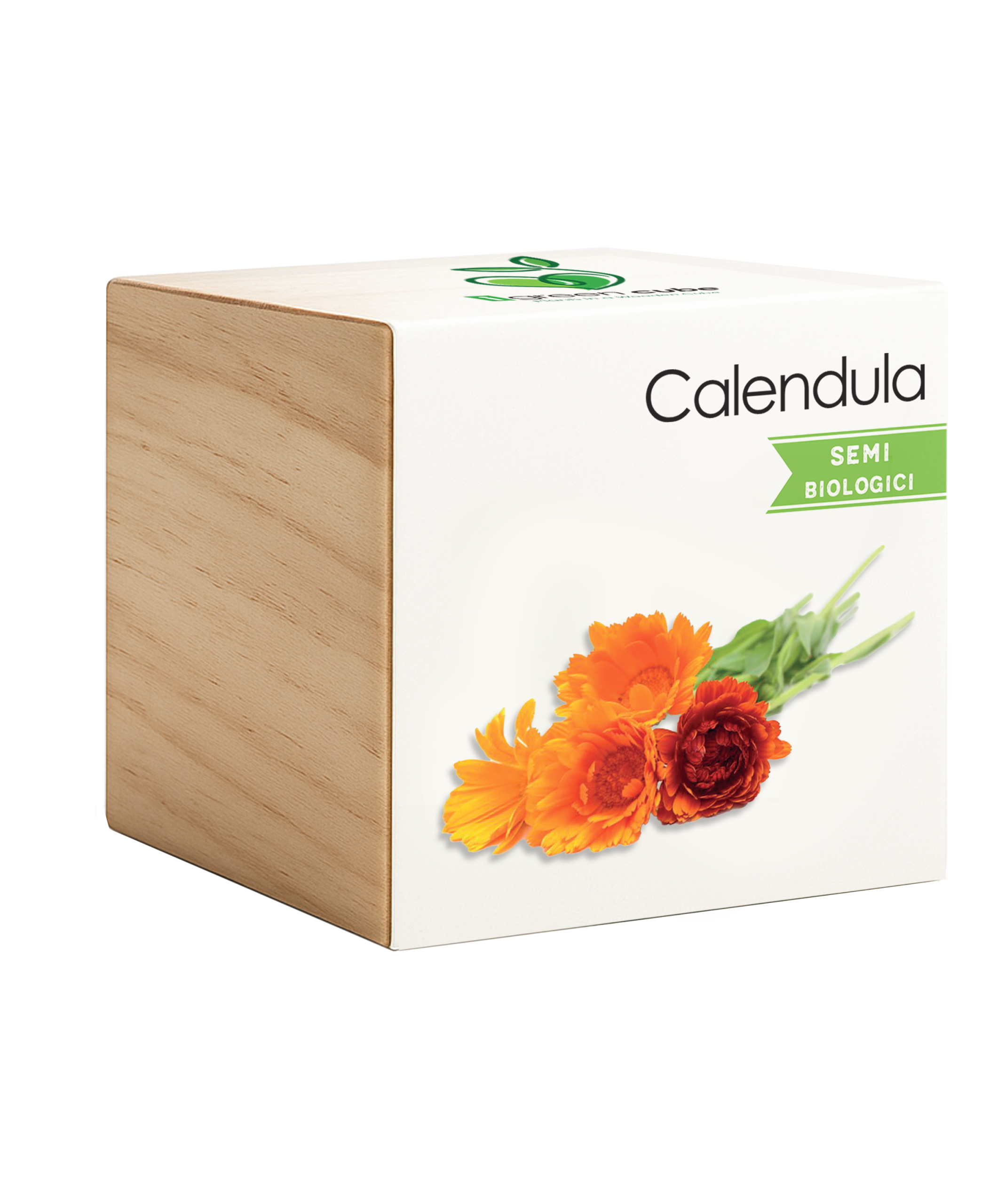 iGreen Cube Calendula
