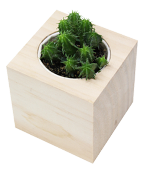 iGreen Cube cactus