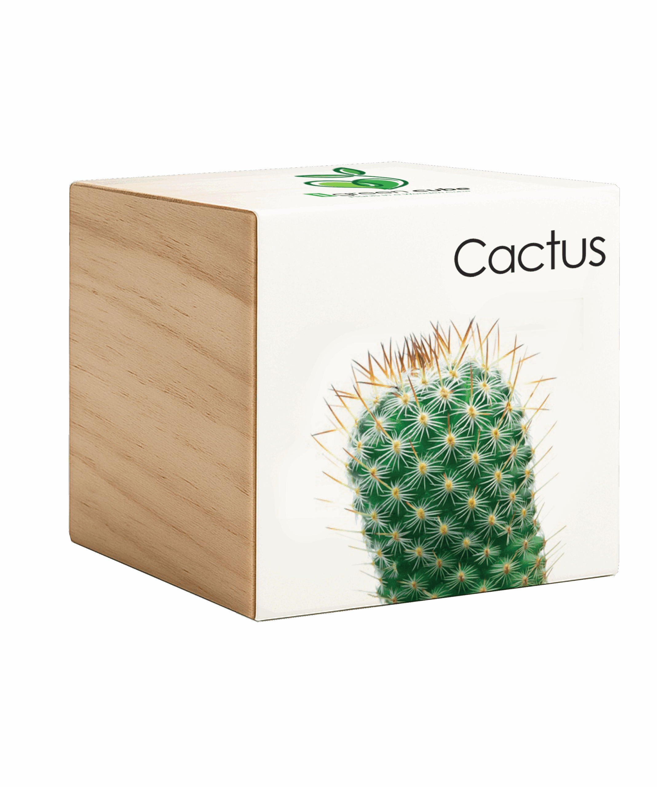 copertina iGreencube-Cactus
