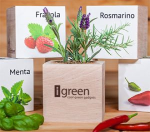 Ecocube con Pianta o Fiore da Coltivare