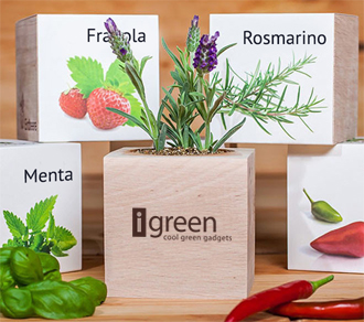 Ecocube con Pianta o Fiore da Coltivare