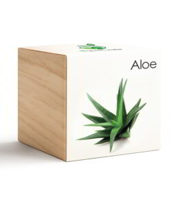 iGreen Cube Aloe
