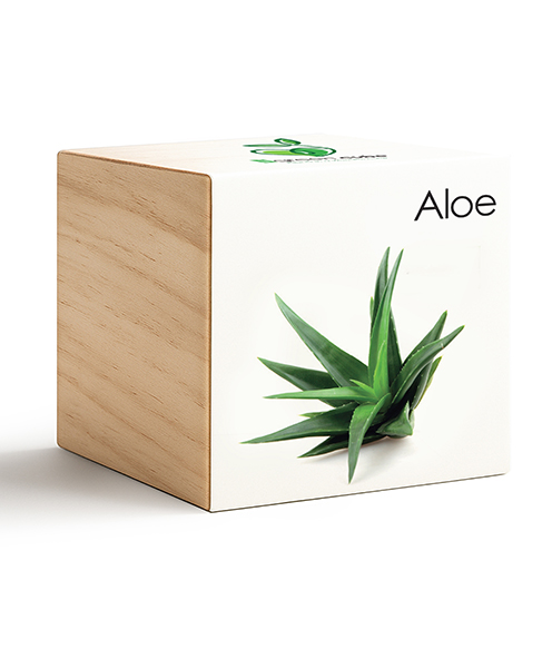 iGreen Cube Aloe 487x583