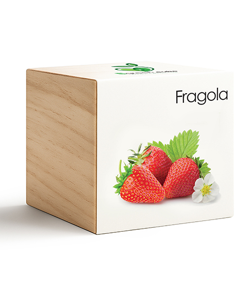 iGreen Cube Fragola 487x583