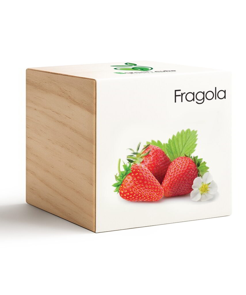iGreen Cube Fragola
