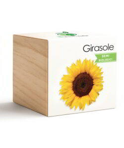 iGreen Cube Girasole