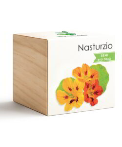 iGreen Cube Nasturzio