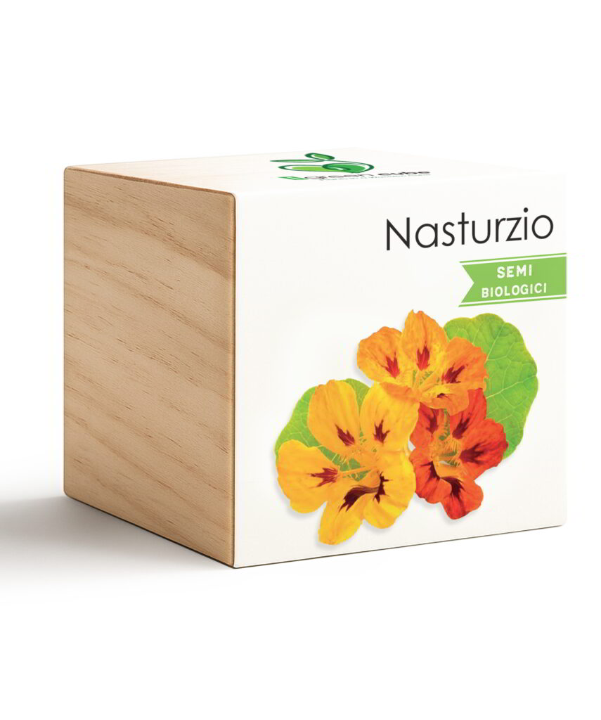 iGreen Cube Nasturzio
