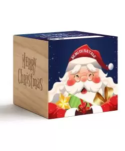 iGreen Cube Natalizi Babbo Natale